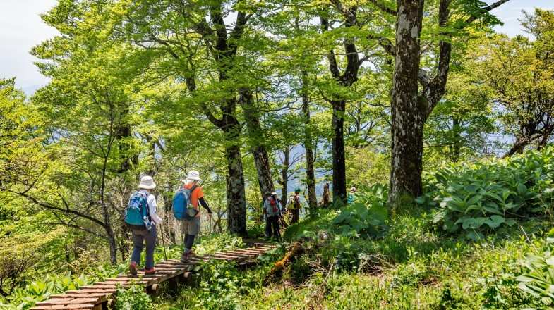 A country with dominating mountains and volcanoes, Japan is a holiday haven for hikers alike.