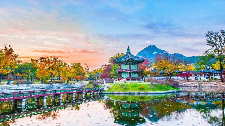 View the Gyeongbokgung Palace during fall in South Korea in September.