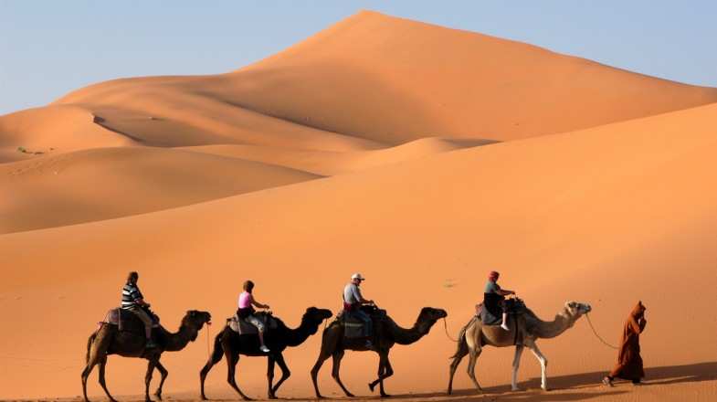 Join the camel caravan on your one-week in Morocco