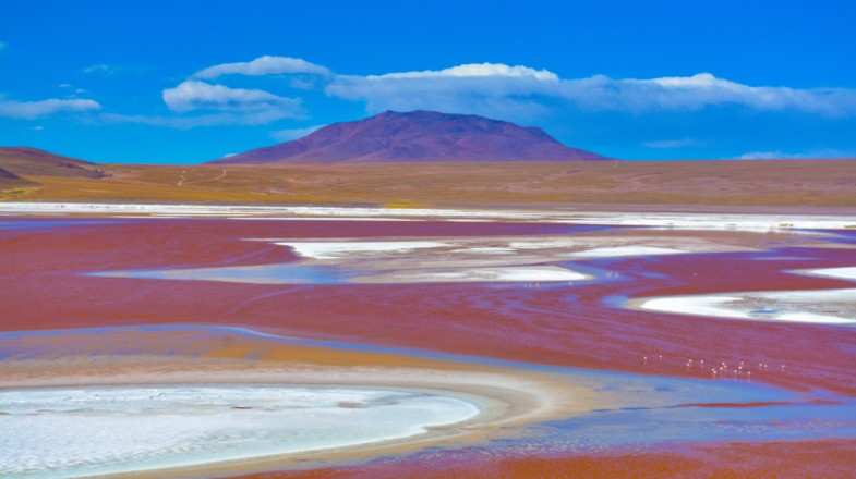 Laguna Colorada or Red Lagoon is a shallow salt lake in the southwest of Bolivia.