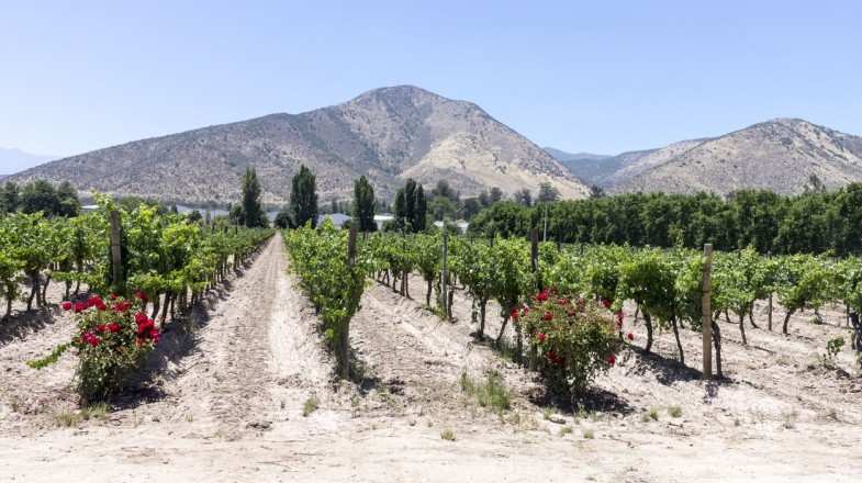 Maipo Valley wine region is the shortest drive away and offers a host of delectable Chilean wine, meaning it is a perfect getaway for a short  day trip