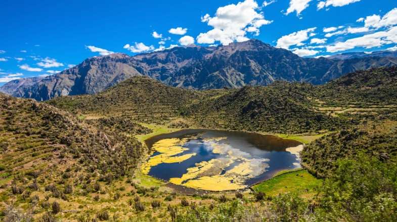 The Colca Canyon Trek takes you to one of the deepest canyons in the world