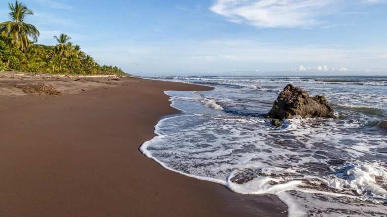 Waves hit a sandy beach in Tortuguero National Park, Costa Rica.