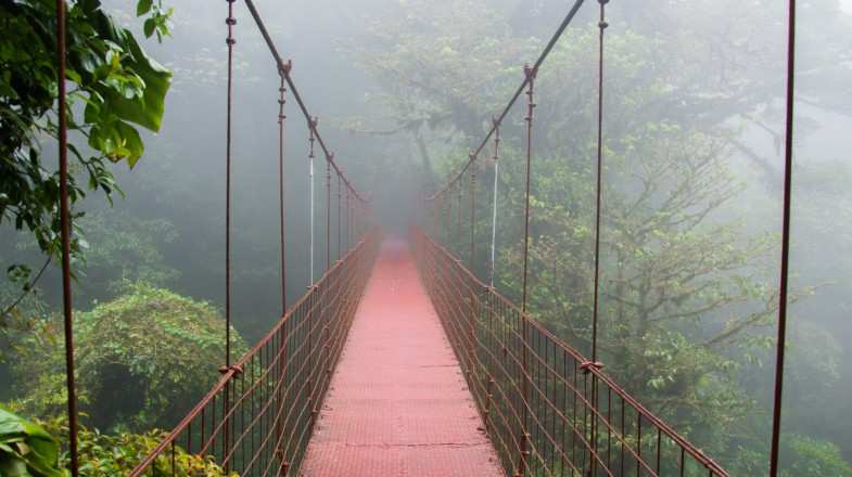 A hanging bridge in Manuel Antonio National Park during the rainy season in Costa Rica in September.