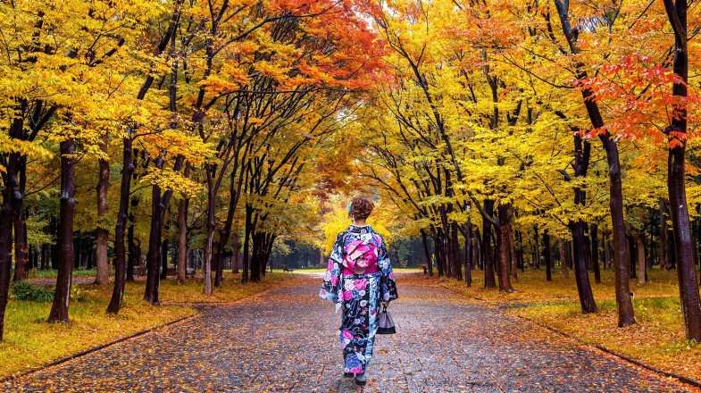 An Asian woman wearing a kimono in autumn park in Japan in October.