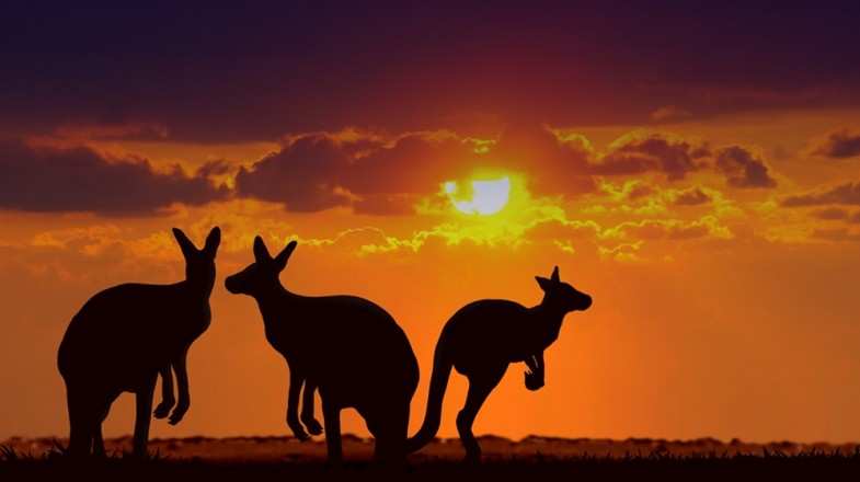 The Australian outback maybe a harsh, dry land but it is nothing short of exquisite filled with exotic landscapes, starry night skies and native wildlife.