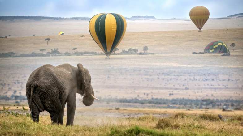 Balloons ready for take-off in Kenya in September