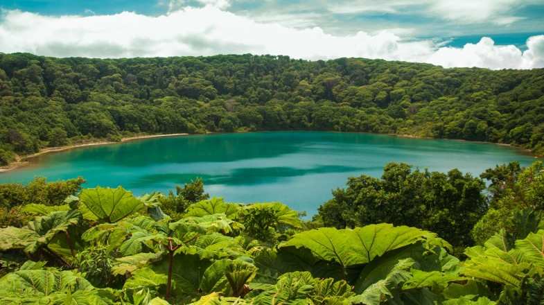 National parks in Costa Rica have the richest concentration of biodiversity.