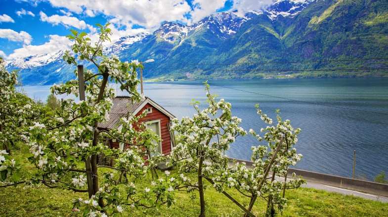 View of Hardanger fjord in late may, Norway