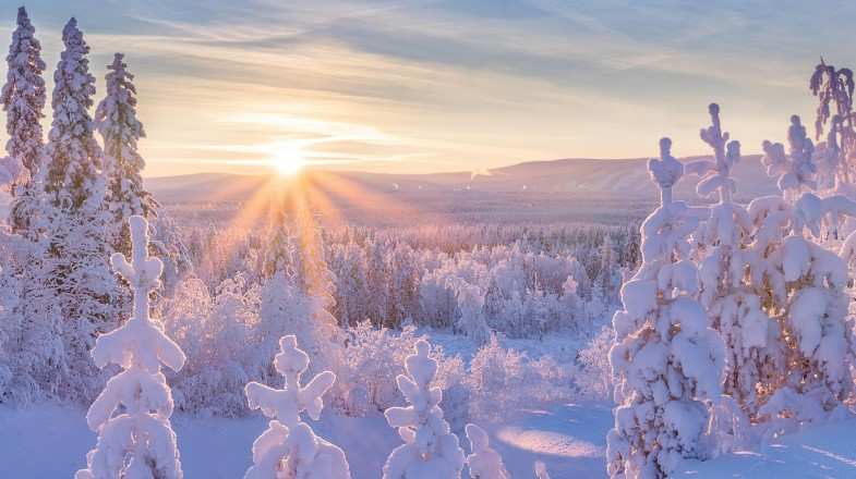 Snow-covered landscape in Sweden during winter.