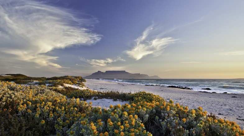 A scenic view of Table mountain in Cape Town in South Africa in October.