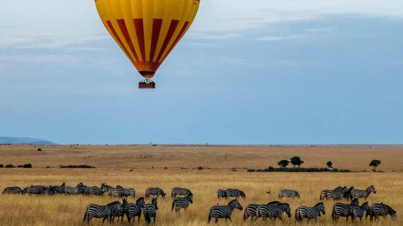 Masai Mara national park is a must see place while in Kenya.