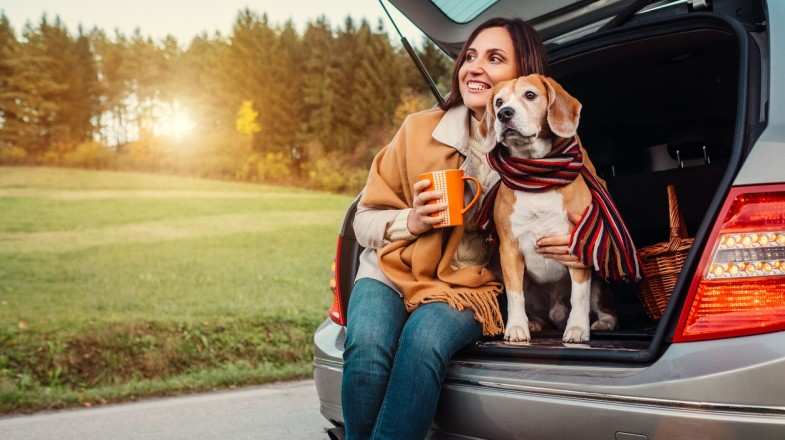 Some useful tips can make traveling with pets a simple task.