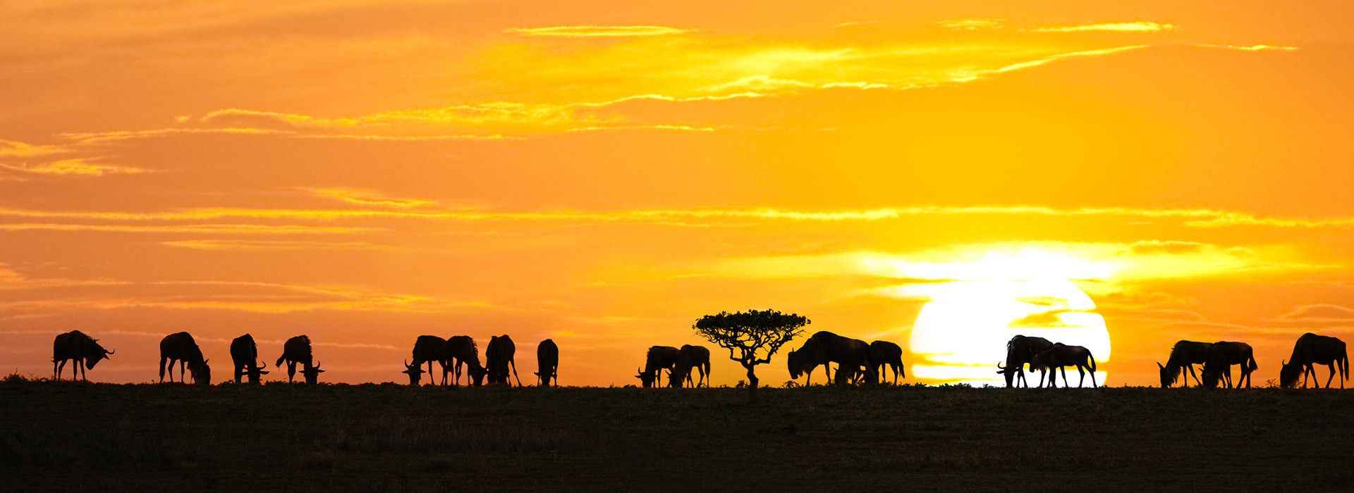 Tanzania Travel Guide - Travel Insights and Tips