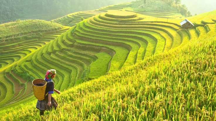 Asia has some of the best places to travel to. From green rice fields to bustling modern cities, Asia has it all.