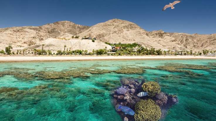 Nature with beautiful coral reefs of the Red Sea during winter in Israel.