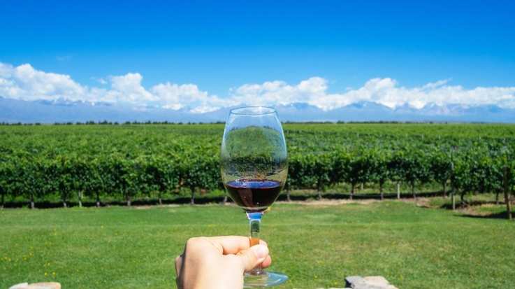 Mendoza wine tours take you to the lively city of Mendoza situated to the east of Mount Aconcagua.