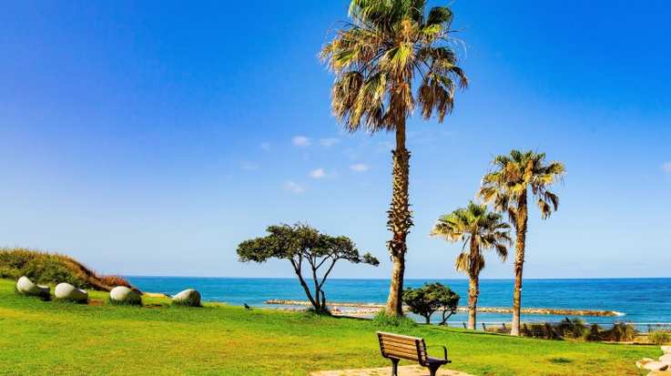 A park next to beach in Tel Aviv in Israel in June.