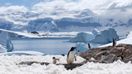A summer visit to Antarctica offers opportunities to see large icebergs and a plethora of wildlife, including whales and breeding elephant seals.