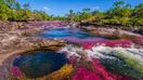 Also known as the liquid rainbow, The Caño Cristales river in La Macarena, Colombia is a breathtaking natural wonder.