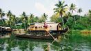 Ride on a boat on the water with palm trees on the shores while spending 2 weeks in India.