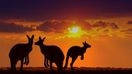 The Australian outback maybe a harsh, dry land but it is nothing short of exquisite filled with exotic landscapes, starry night skies and native wildlife.