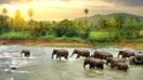 Elephants crossing the river, 10 days in Sri Lanka