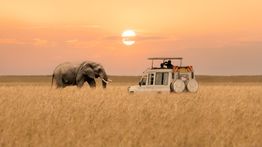 10 Days in Kenya: Top 3 Recommendations
