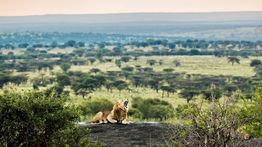 Top 10 Best National Parks in Tanzania – Overview