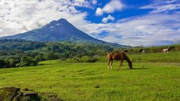 Arenal Volcano Hike: 8 Best Trails