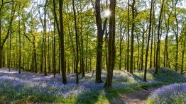 England in April: Weather, Tips, and More