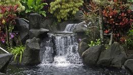 6 Best Hot Springs in Costa Rica