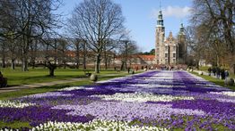 Denmark in April: Weather, Travel Tips, and More!