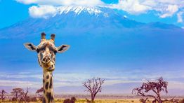 Kenya in October: Transitional Period Travel Tips