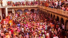 The Ultimate Guide to Holi