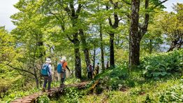 Hiking in Japan: 7 Splendid Day Hikes