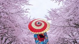 Japan in April: Weather, Tips & Cherry Blossoms
