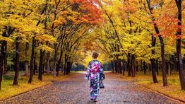 Japan in October: Cool Weather and Autumn Festivities