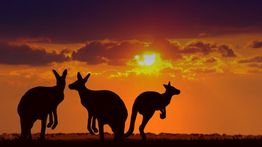 8 Best Destinations in the Australian Outback
