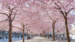 Sweden in April: Weather, Tips, and More
