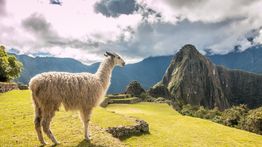 Lares Trek vs. The Inca Trail
