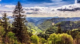 Mittelweg: Hiking the Black Forest in Germany