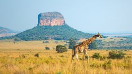 Great South Africa Itineraries: How Many Days to Spend?