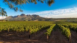 South Africa in March: Weather, Tips and More