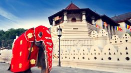 Sri Lanka in February: Beach Weather and Excursions