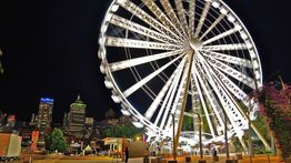 16 Best Things to Do in Brisbane