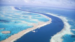 5 Things to Do on a Great Barrier Reef Holiday