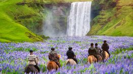 Iceland in May: Spring Weather and Enchanting Scenery