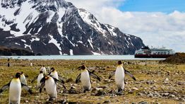 How to Plan a Trip to Antarctica: A Guide