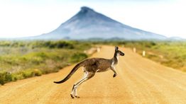 Planning a Trip to Australia: The Ultimate Guide